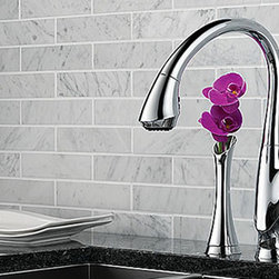 Kitchen Faucets - Products