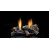 27" Natural Gas Natural Blaze See Thru Burner and Logs Only