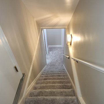 Kenton, Grand Rapids, Basement Repair/Update