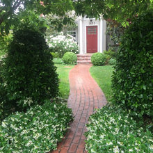 Ground Covers