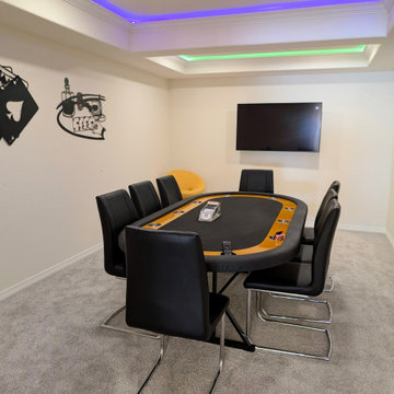 Modern Highlands Ranch Finished Basement by Brothers