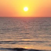 Nikki Lauber's photo