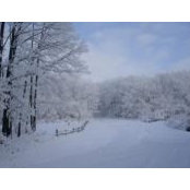 Mary Bogden's photo