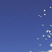 Matthew Willis's photo