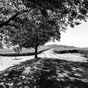Thibauld Denizot's photo