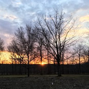 buescherk's photo
