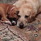 Sue-Ann Solomon's photo
