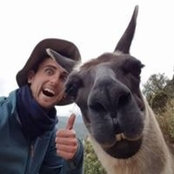 Chris Gosling's photo