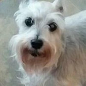 Wendy Jones-Schwartz's photo