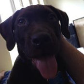 Jarad Schwartz's photo