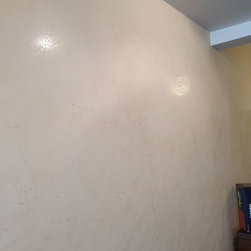 Venetian Plaster Italian Finishes - Products