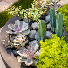 home garden