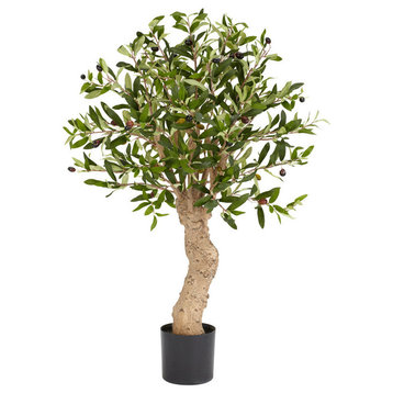 2.5' Olive Silk Tree