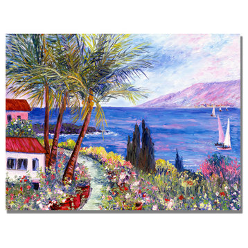 'Villa in Maui' Canvas Art by Manor Shadian