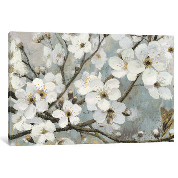 Cherry Blossoms I by James Wiens Canvas Print, 12"x18"x1.5"