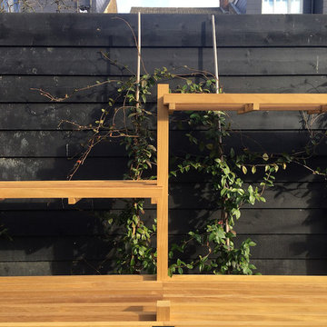 Bonsai bench | Herne Hill