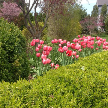 spring flowers