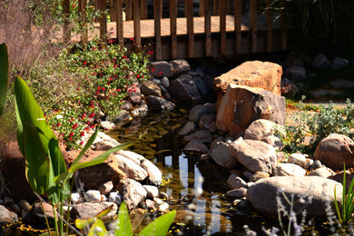 Photo of a mid-sized traditional courtyard landscaping in Austin.
