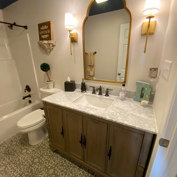 Basement Remodel