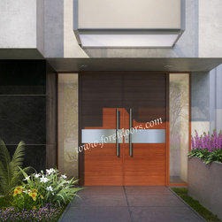 Modern contemporary entry doors - Front Doors