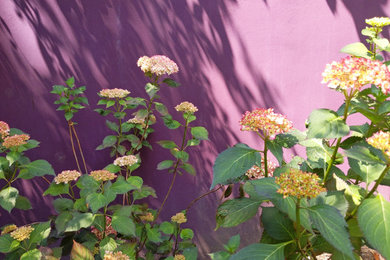 Photo of a contemporary fully shaded garden in Milan.