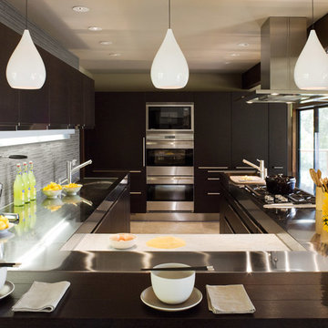 Arclinea Kitchen - Marin County Kentfield