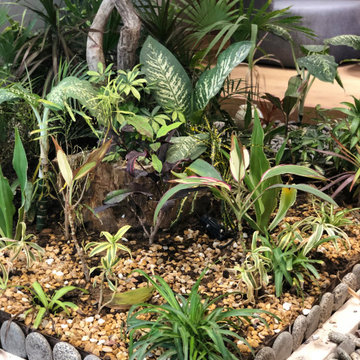 Indoor Air-purifying plantation and Design