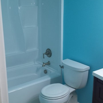 Ann Arbor Guest Bathroom Remodel