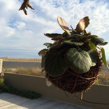 Plant sculptures