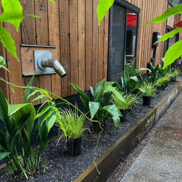 Brightwood vacation rental