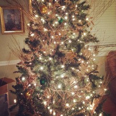 What else should go on my Christmas tree?