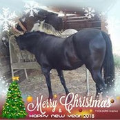 Fiona Bayne's photo