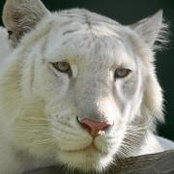Gavin Sweeting's photo