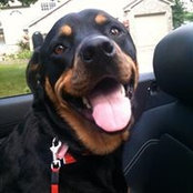 Kevin Tierney's photo
