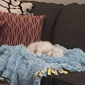 Katelyn Schramm's photo
