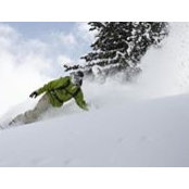 Nermin Podzic's photo