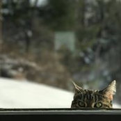 Jennifer Linder's photo