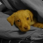 Ben Misan's photo