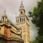 Jackie McMahon's photo