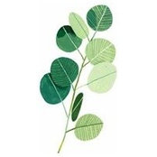 Elisa Gius's photo
