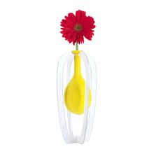 vases