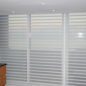 Hunter Douglas Silhouette Window Shading