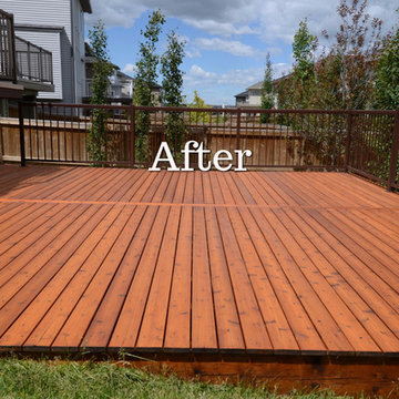 Cedar Deck Restoration