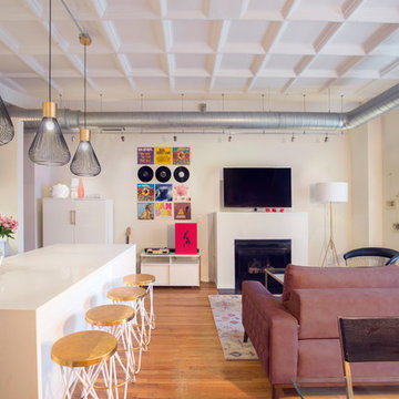 South Loop Loft Living