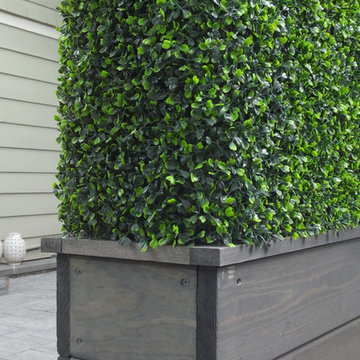 Patio Space with boxwood hedge and planter
