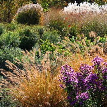 Fall Landscaping