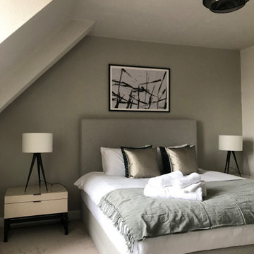 Attic Apartment Renovation