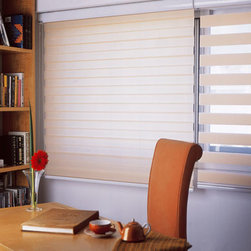 Vision Shades - Windows