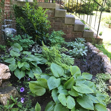 Chevy Chase Foundation Planting