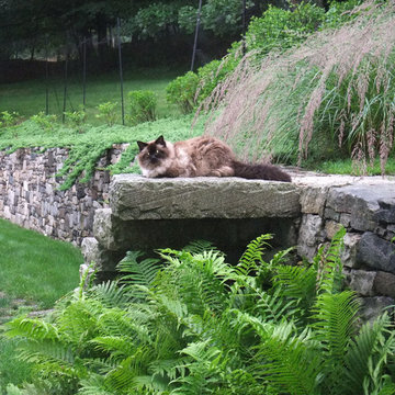 A Comfortable Perch
